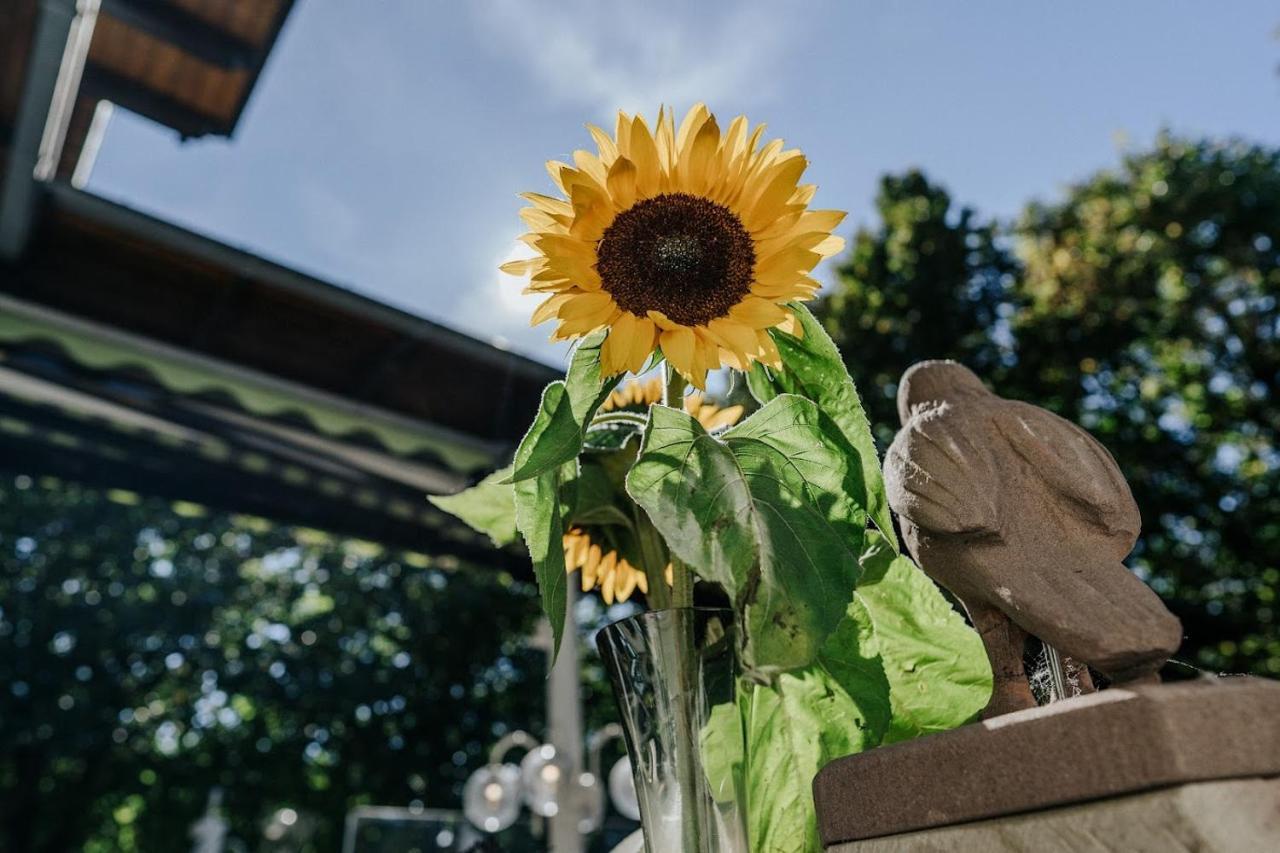 Landgasthof Adler Breisach Bagian luar foto